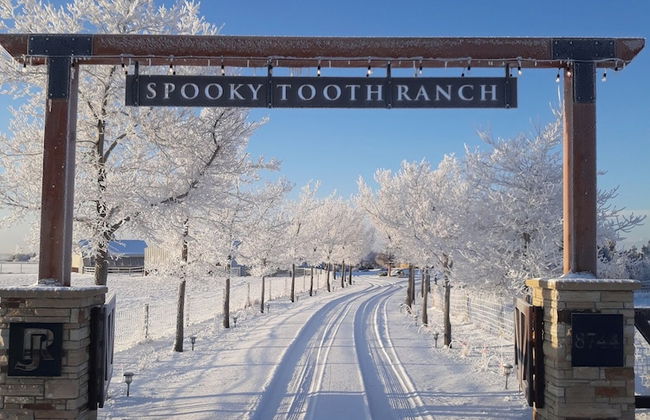 Llama-stay at Spooky Tooth Ranch – Mtn Views!! - Foto 25