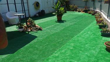 Os Pimentinhas - Foto 5