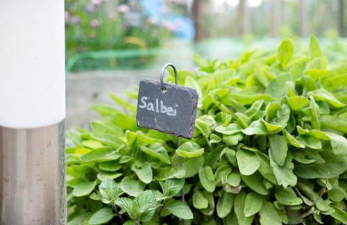 Bauernhof Sackgut - Foto 41