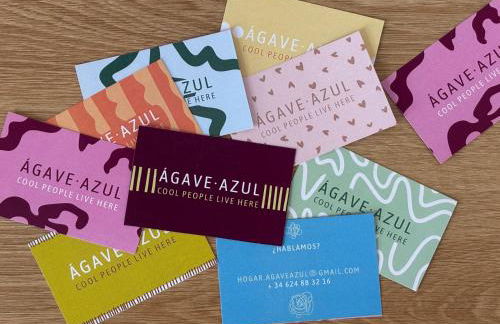 Ágave azul - Foto 25