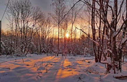 Appartement Am Skihang Altastenberg 1 km zum Skikarusell Winterberg - Photo 20