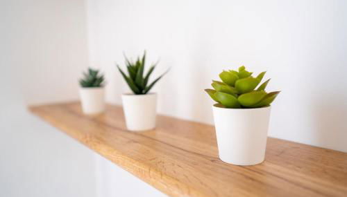 La Maison Vermeil - Grande maison moderne à Lavaur - Foto 5