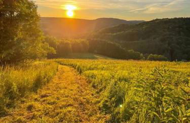 Mountain Brook Cabin - Foto 39