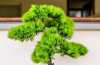 Appartamento Dolce Casa 2 - Foto 48