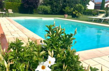 Rustico del Chiasso - Villa With Private pool near Lucca - Foto 16