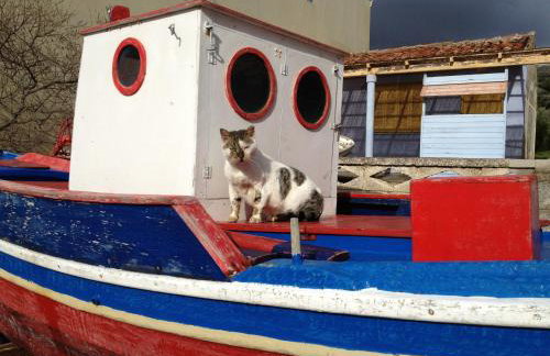 Jimmy's Place - Photo 72