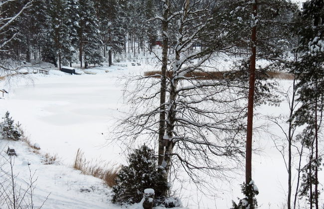 Joutsenlampi - Foto 22