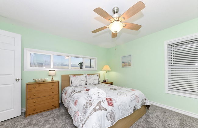 Dolphin Paradise - Photo 5