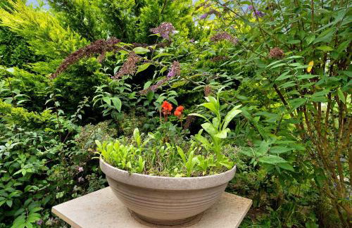 Ferienwohnung 1 - Photo 17