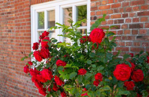 Töwerland Ferienwohnung Töwerland 2 - Foto 40