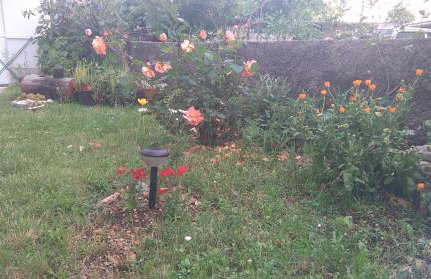 Apartment Cvjetna - Foto 60