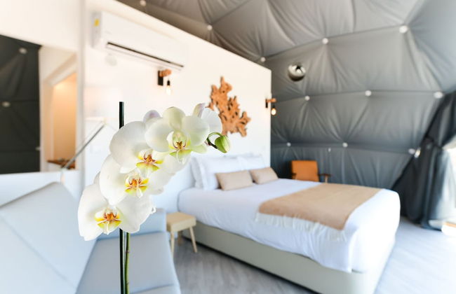 wecamp Reserva Alecrim - Foto 31