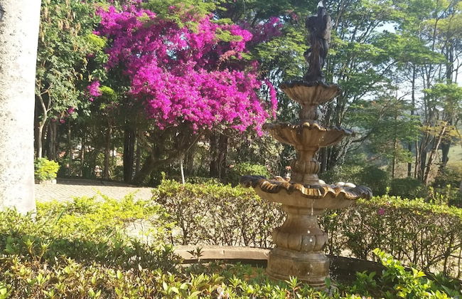 Hotel Serraverde - Foto 23