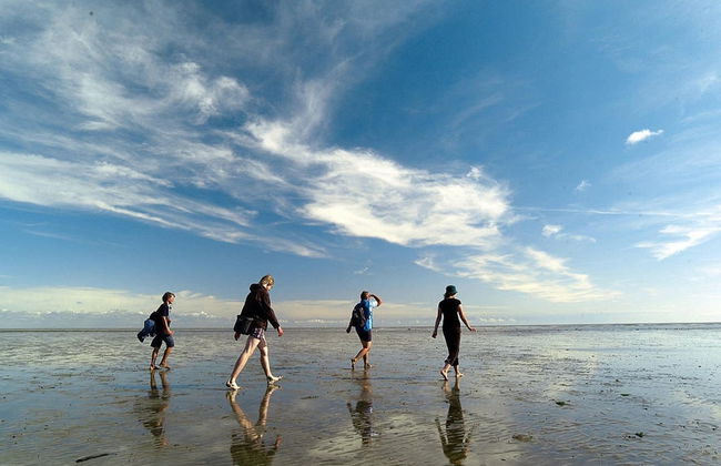 Appartementhaus auf Pellworm - Foto 11