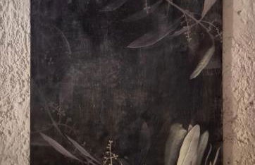 Il vecchio frantoio - Photo 18