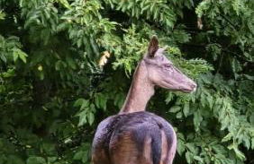 Palazzo 54 - Photo 16