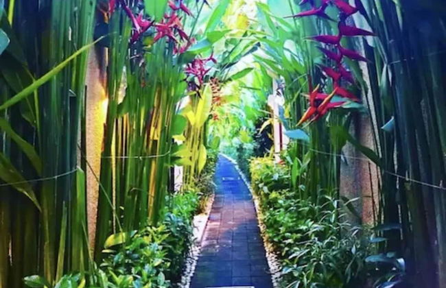 My Villas in Bali - Photo 30