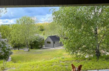 Powidoki Mazury - Foto 60