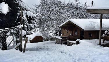 Ferienhof Gerda - Foto 4