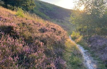 Langensteiner Idyll - Foto 41