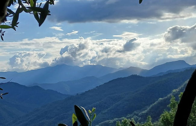 House - Sleeps 5, Scenic Views, Fireplace & Garden - Foto 15