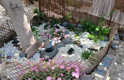 Студия для отдыха в горах - Foto 14