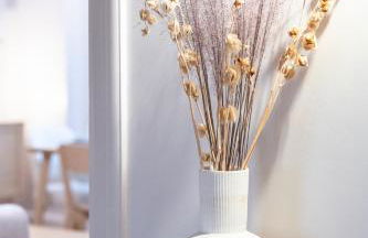 BEL AMI 03 Strasbourg - Foto 20