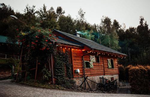 Świerkowe Zacisze Domki - Foto 15