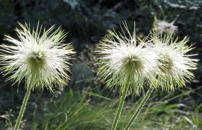 LuxLax 2. OG Süd - Foto 31