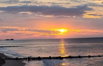 The Stable - Photo 10