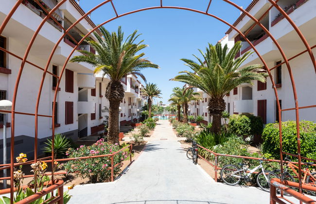 Comfy Altemar - Foto 34