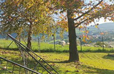 El MIRADOR DE TONO , Casa entera - Foto 58
