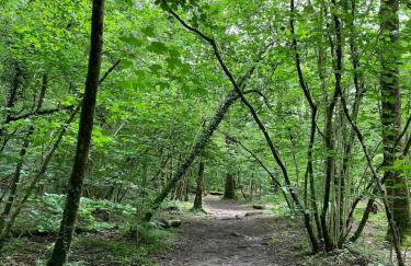 Ashdene Cottage with secure 'sun trap' garden - Foto 26