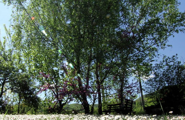 Belvilla by OYO Il Cerro - Photo 36