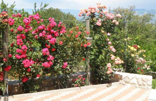 Villa Roze - Foto 49