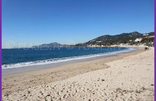 Port Hyeres Duplex plein Sud 200 M2 et 100 M2 de terrasse - Foto 41