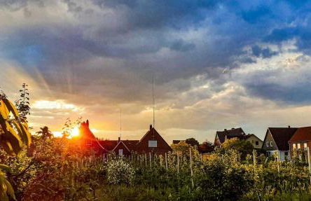 Ferienwohnung Blütenblick - Photo 1