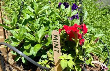 B-B Ranch Cottage~Heart of Gold Country~*HOT TUB* - Foto 45