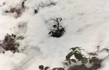 Casa do Forno FR - Foto 74