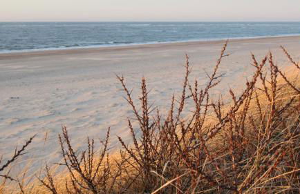 Ferienhaus Nordstrand Whg 4 - Foto 31