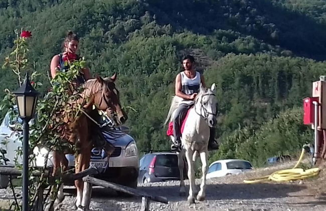 Le Chianine dei Tognoli - Foto 8