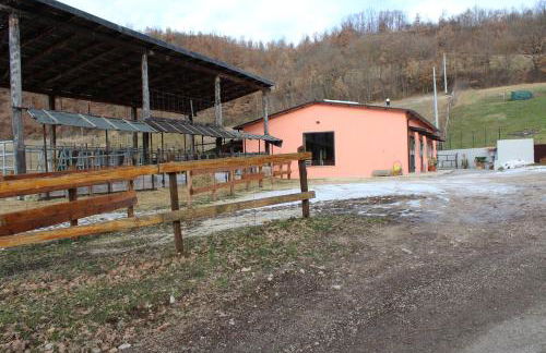 Agriturismo Natura e Gusto fattoria didattica - Foto 10