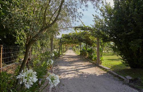 Casa de Cardido - Foto 57