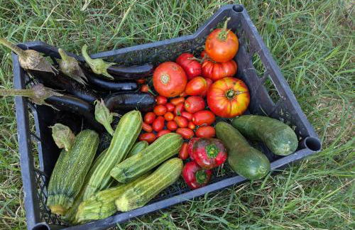 Agriturismo la Casina - Foto 20