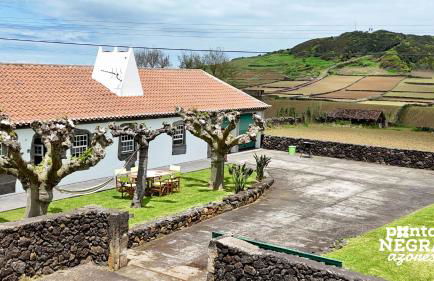 Casa das Vaquinhas by Ponta Negra Azores - Photo 28
