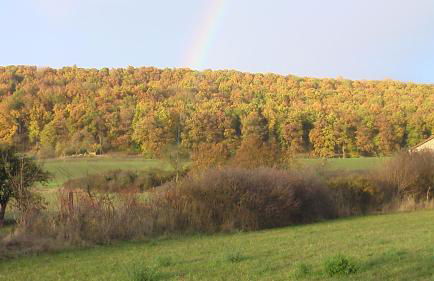 FeWo am Schlossberg - Foto 13