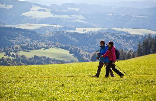 Appartement Bergsonne - Foto 2