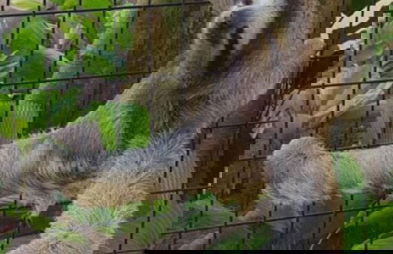 Villas Piña - Adults Only - Foto 19