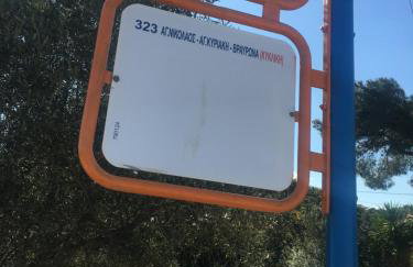 Peach Pine House - Escape Near City, Beach and Athens Airport - Photo 5