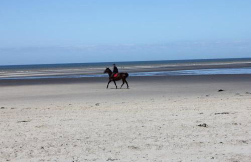 La Tonnelle - Foto 19